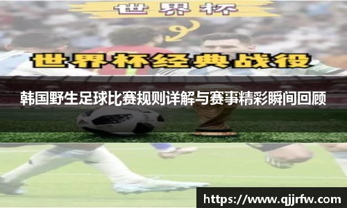 韩国野生足球比赛规则详解与赛事精彩瞬间回顾